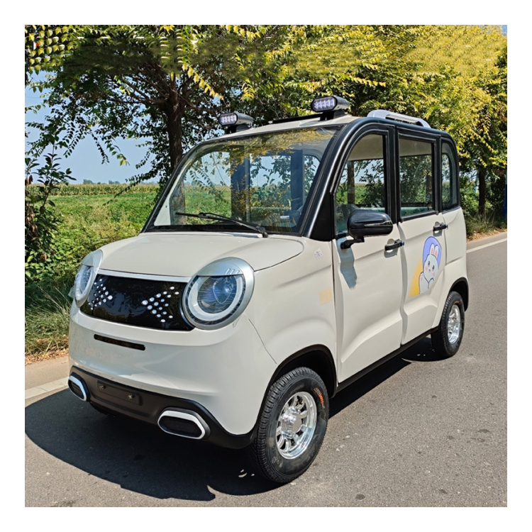 Export Family Small 4 Wheels Electric Vehicle 1000W 60v Big Space Fully Enclosed New Energy Automobile for Elderly Electric Car